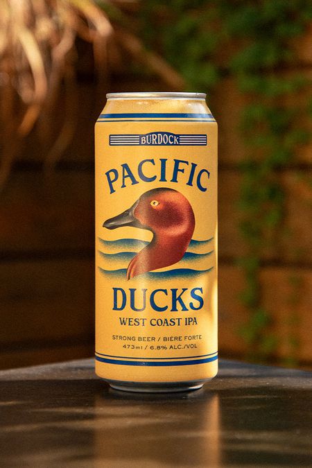 Pacific Ducks
