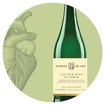 All Our Days in Amber