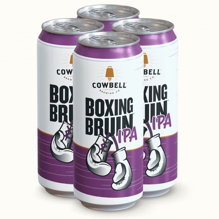 Boxing Bruin