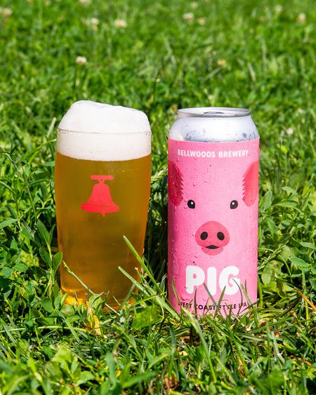 PIG
