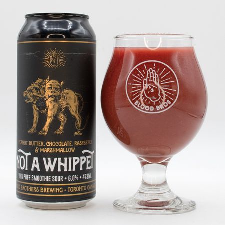 NOT A WHIPPET 10 YEARTALL