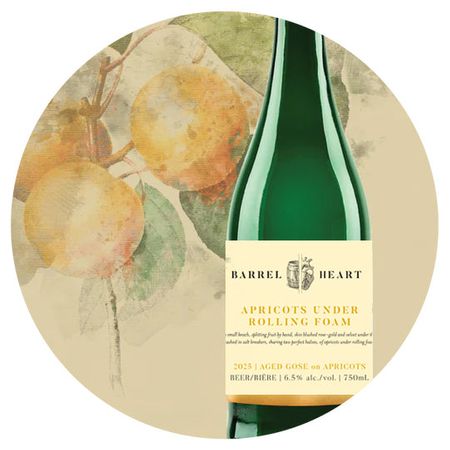 Apricots Under Rolling Foam