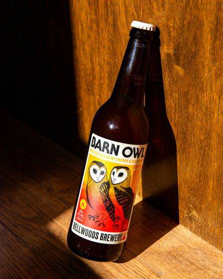 Barn Owl No.35