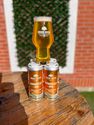 Stonecat Pineapple IPA
