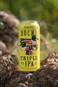 Triple Ducks