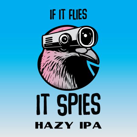 If It Flies It Spies