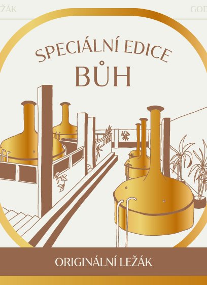 Bůh