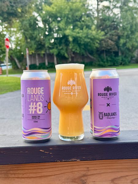 Rougelands #8 DIPA