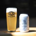 Super Dry Shikuwasa
