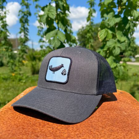 Hat - Square Chicken - Grey and Blue