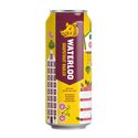 Waterloo Grapefruit Radler